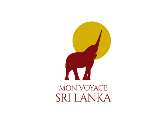 logo mvsl