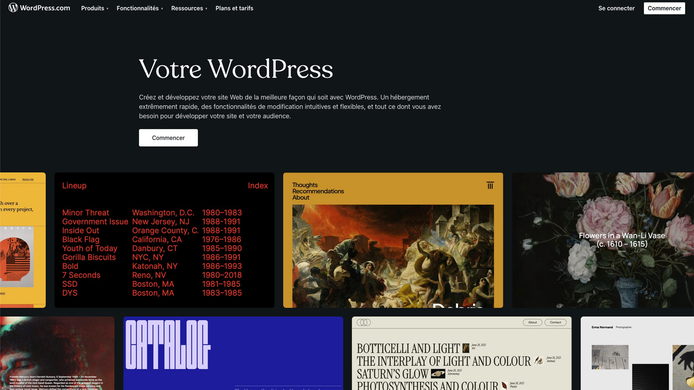 formation wordpress sur mesure